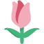 🌷