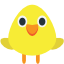 🐥