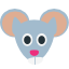 🐭
