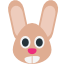 🐰
