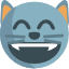 😸