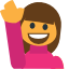 🙋