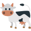 🐄