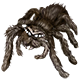 Animal Model - Aragog