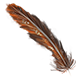 Aethonan Feather