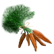 Bundle of Carrots