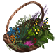 Basket of Foraged Herbs