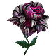 Black Dragon Rose