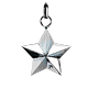 Star Charm