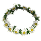Crown of Daisies