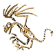 Dragon Skeleton