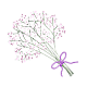 Gypsophila