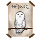 Harry's Picture of Hedwig
