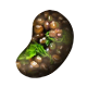 Lentils Stew Every Flavor Bean