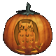 Owl Pumpkin