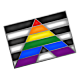 Ally Pin
