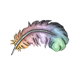 Rainbow Feather