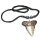 Shark Tooth Choker
