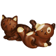 Chocolate Kittens