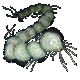 Glow Bug Plushie