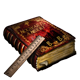 Hermione's Copy of Hogwarts, a History 