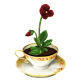 Gryffindor Teacup Pansy