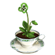 Slytherin Teacup Pansy
