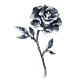 Silver Coated Rose