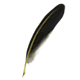 Professor Sprout's Quill