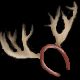 Reindeer Antlers
